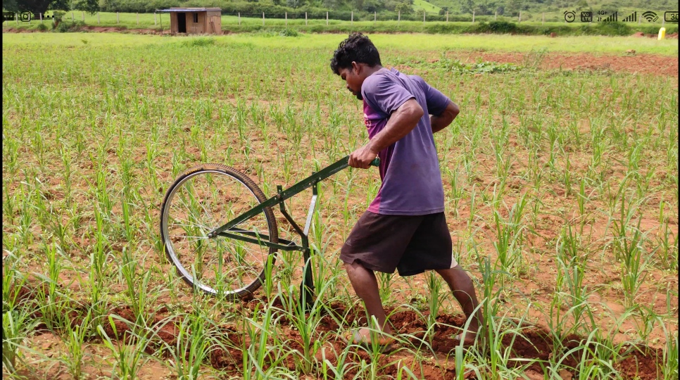 SMI in Finger Millet