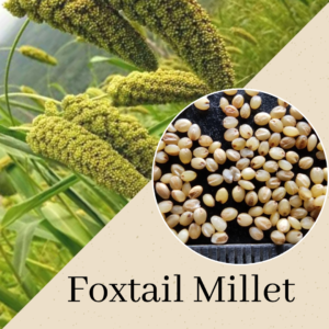 Millets