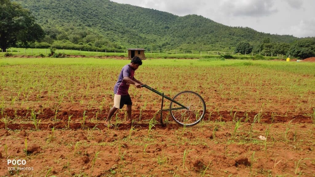 Cycle Weeder in Barnyard Millet Cultivation