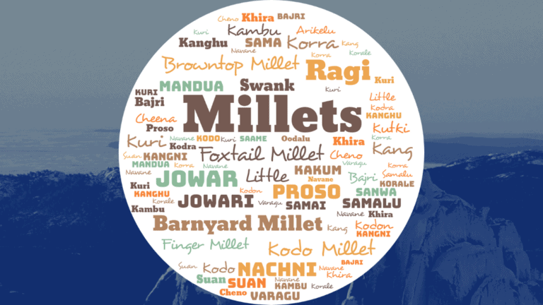 millets-name-in-different-languages-makes-it-easy-for-identification