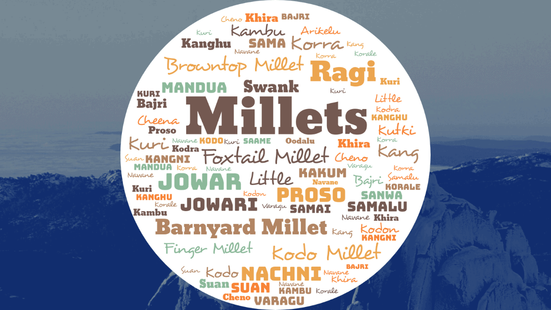Millets name in different Languages