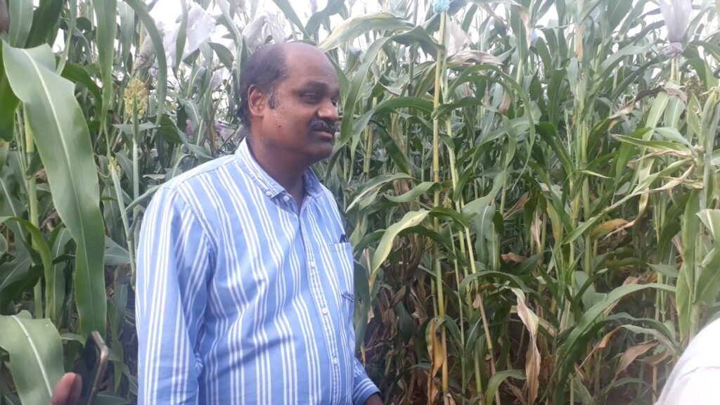 Role of miracle millets