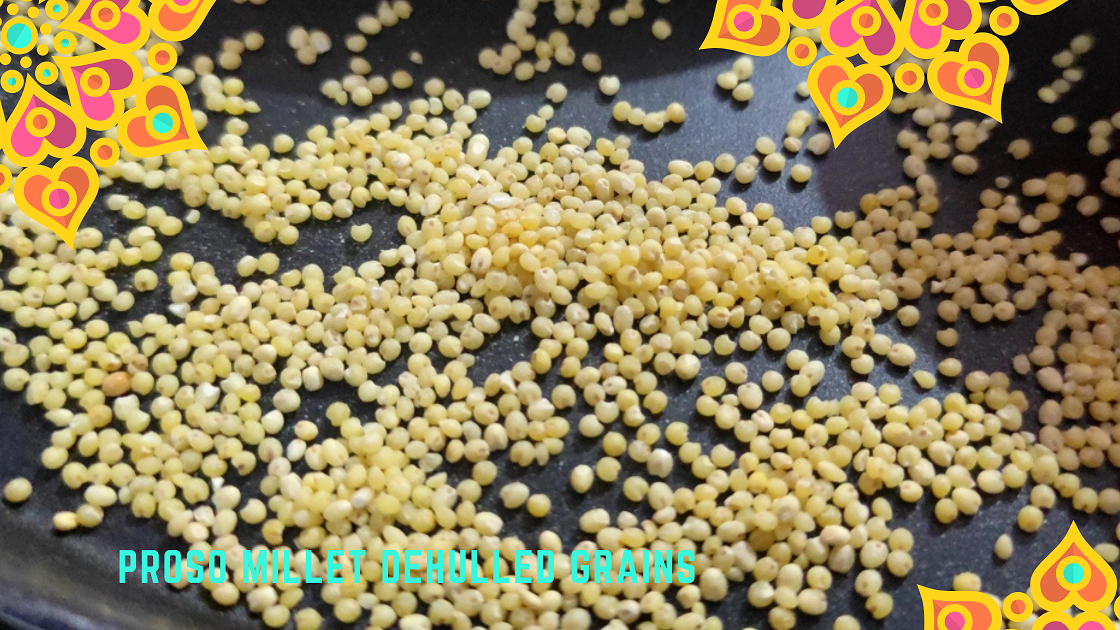 How Proso Millet is Good for You and the Farmers Millet Advisor