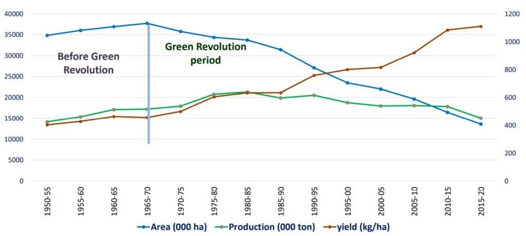 Millet Area and Production