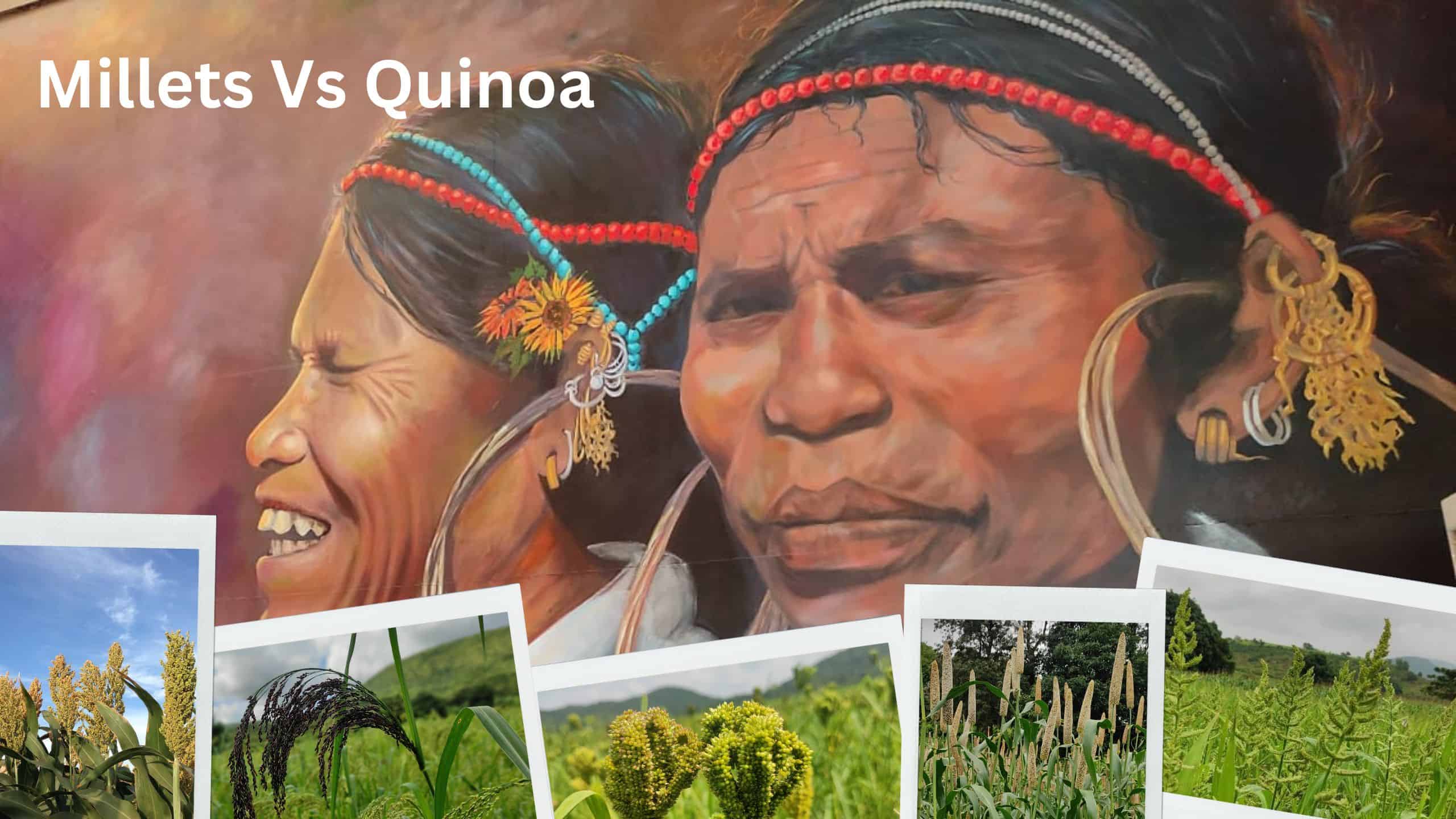 Millet Vs Quinoa