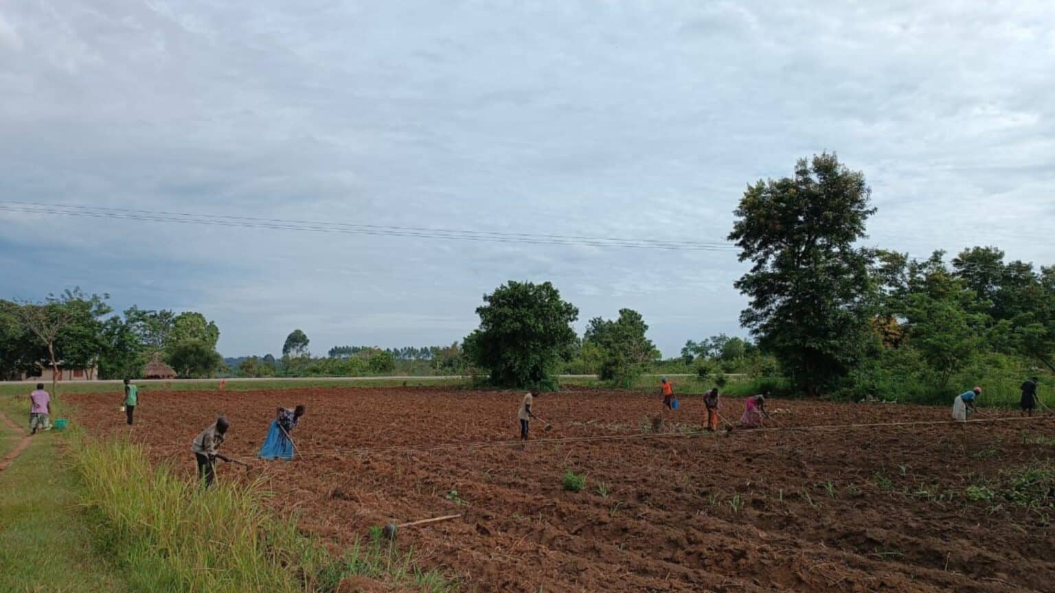 Book on Millet Business Ideas inspired Charles of Uganda 5000 km away from India Millet Advisor