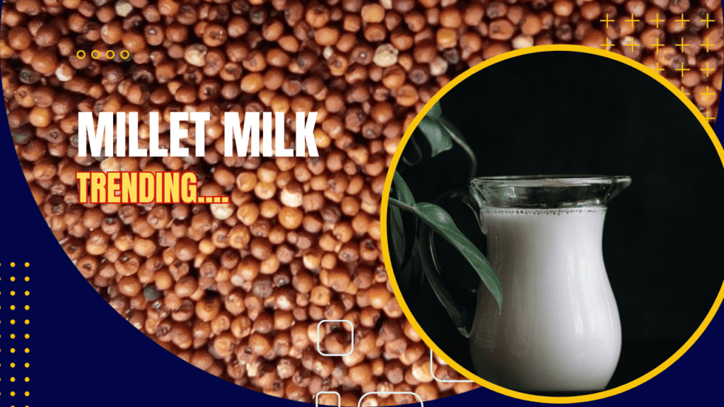 Millet Milk A Powerful DairyFree Alternative Milk Trending Now in