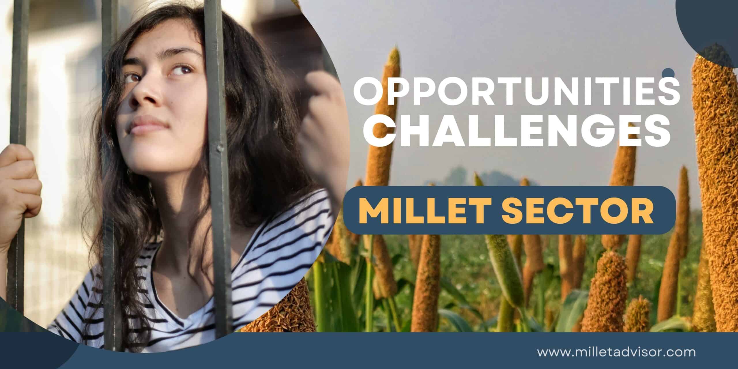 opportunities and challenges in millet sector