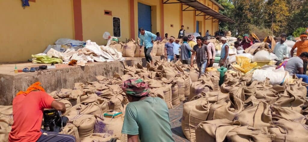 Ragi Procurement in Odisha under Odisha Millets Mission