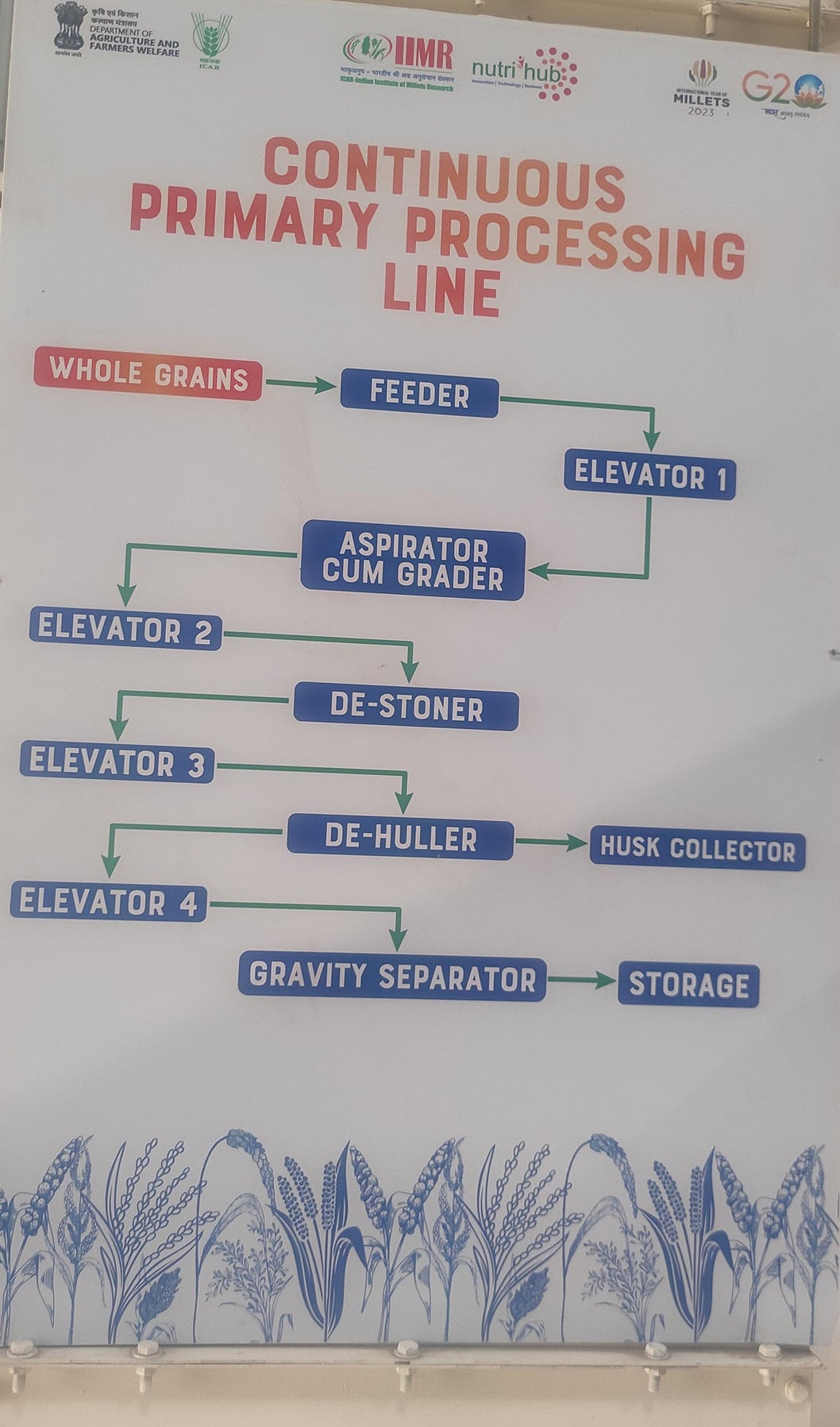 Ultimate Guide to Setting up a Millet Processing Unit for a Profitable ...