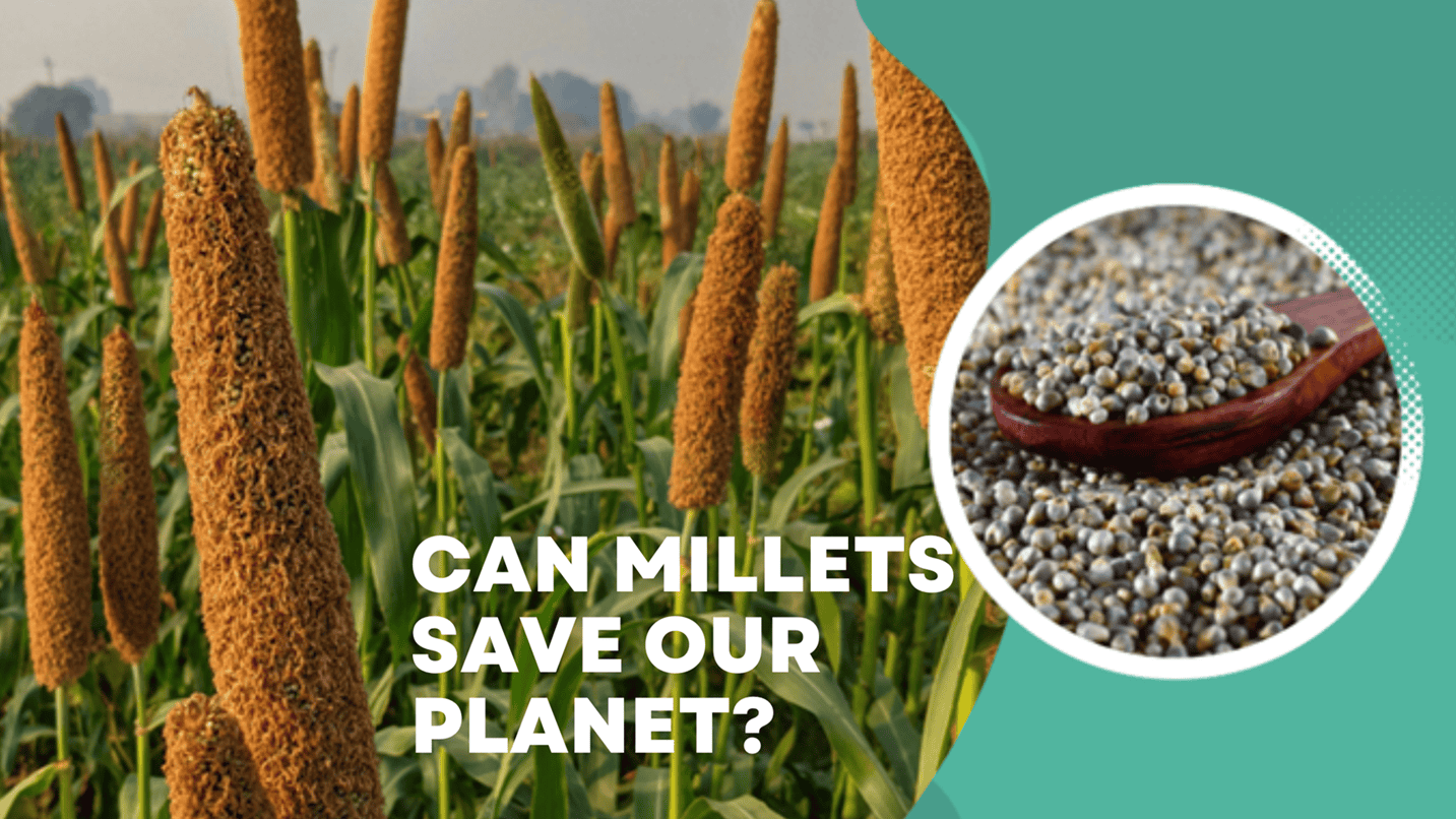 Environmental Sustainability of Millets