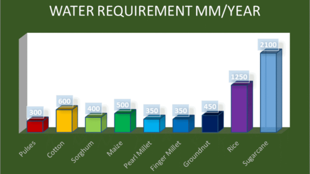 Environmental Sustainability of Millets